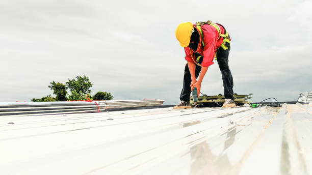 Best Green or Eco-Friendly Roofing Solutions  in Burnettown, SC